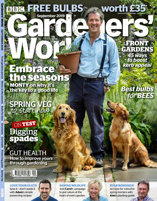 Go Unlimited with Magzter GOLD