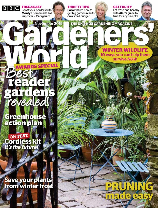 Go Unlimited with Magzter GOLD