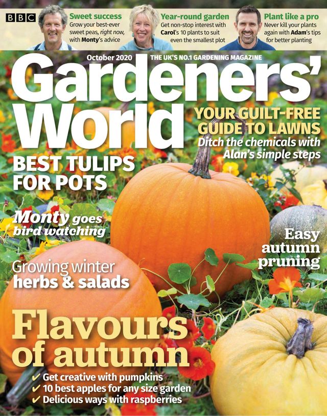 Go Unlimited with Magzter GOLD