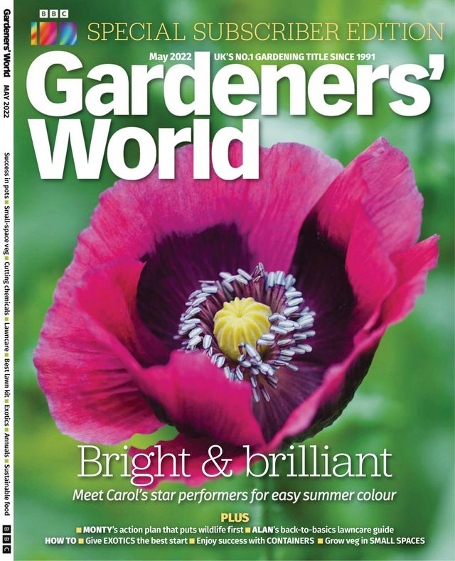 Gå ubegrenset med Magzter GOLD