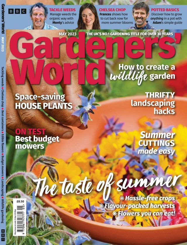 मैगज़्टर गोल्ड के साथ असीमित हो जाओ