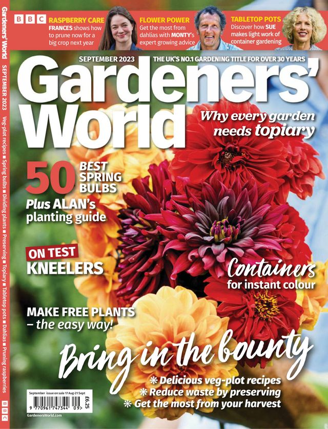 Magzter GOLD ile Sınırsız Olun