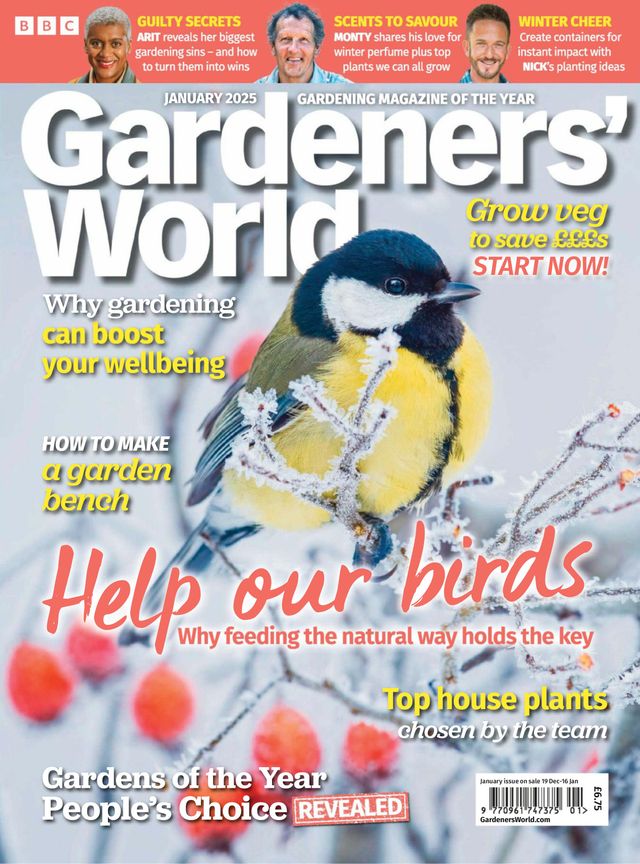 Magzter GOLD ile Sınırsız Olun