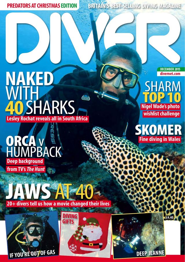 Diver UK