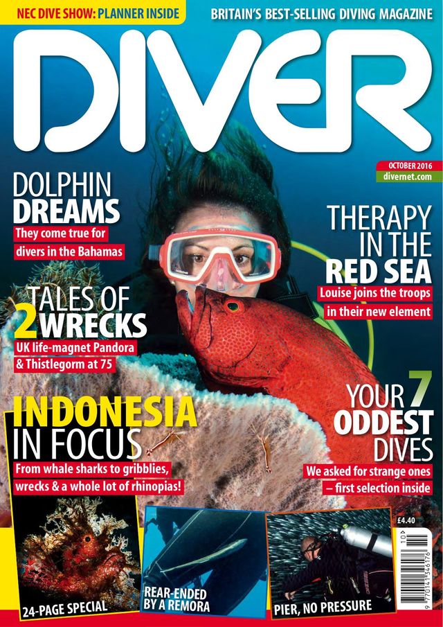 Diver UK