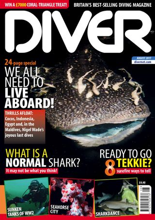 Diver