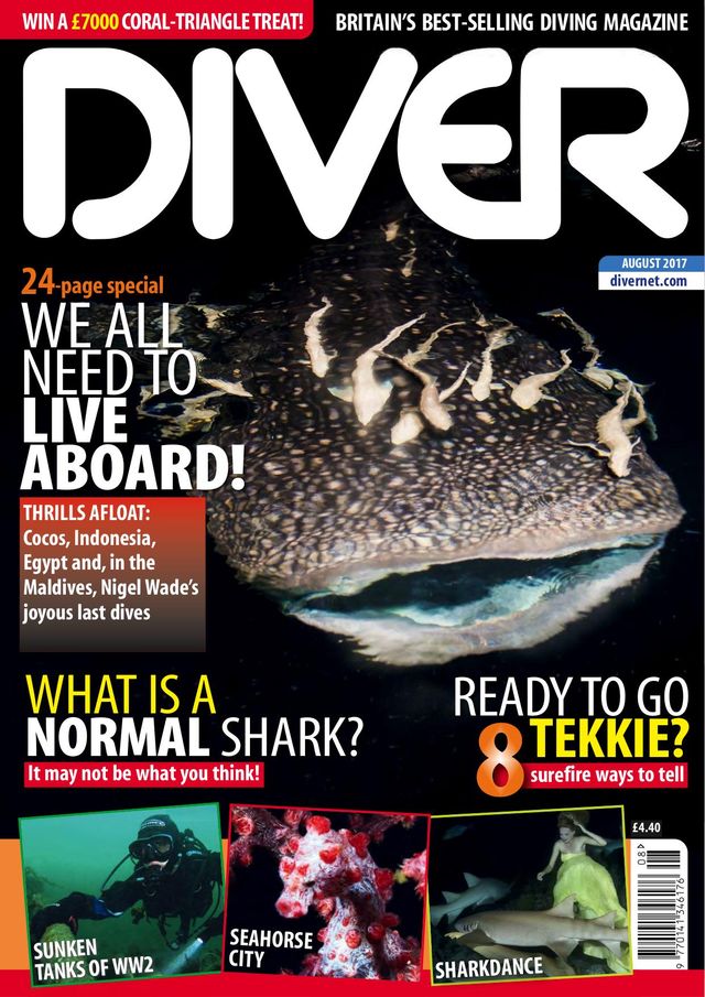 Diver UK