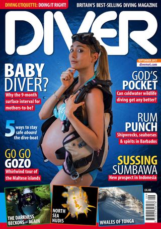 Diver