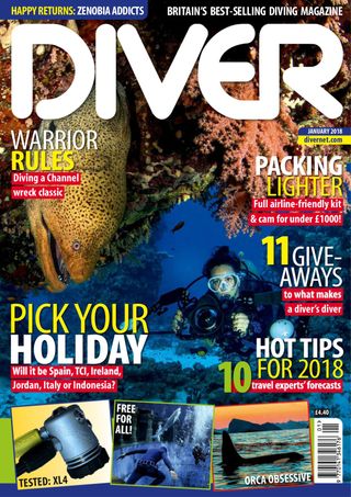 Diver