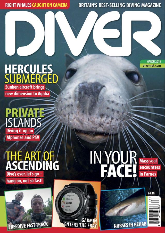Diver UK