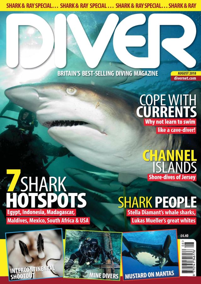 Diver UK