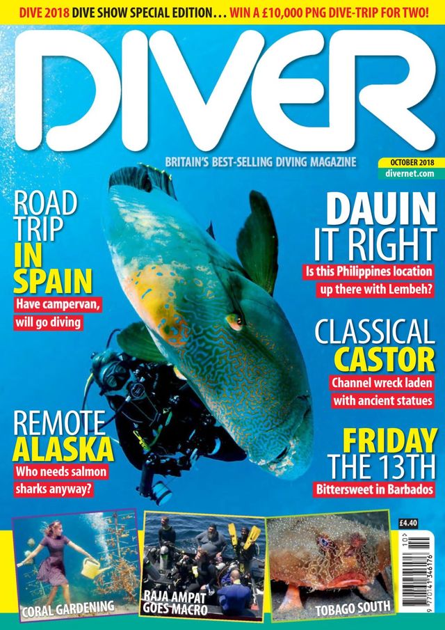 Diver UK