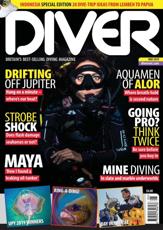Diver UK