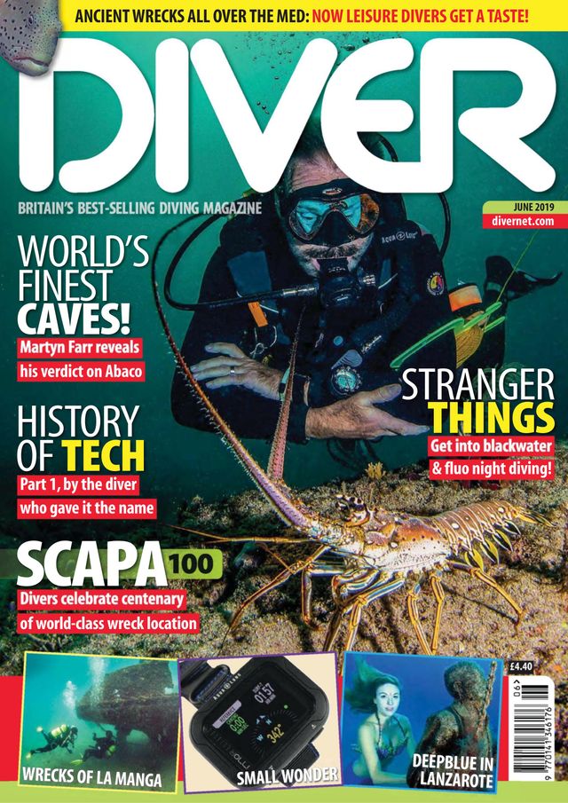 Diver UK