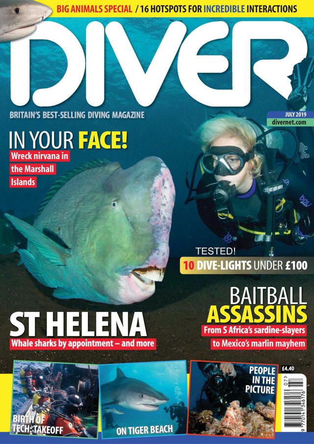 Diver UK