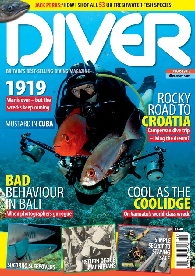 Diver UK