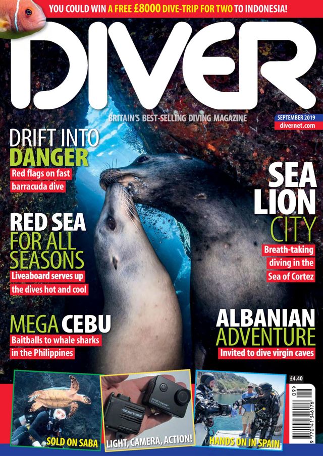 Diver UK