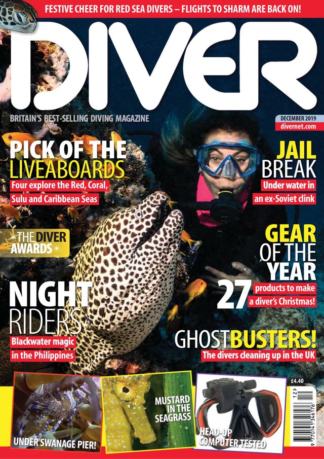 Diver UK