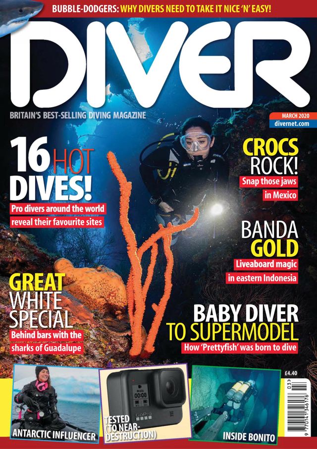 Diver UK