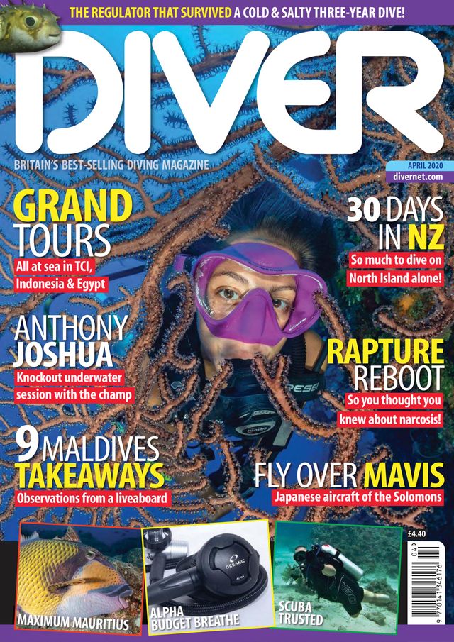 Diver UK