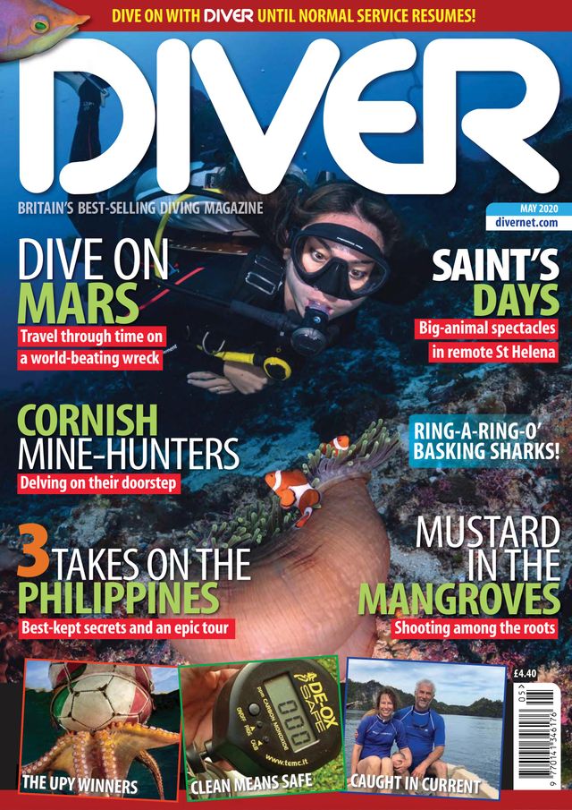 Diver UK