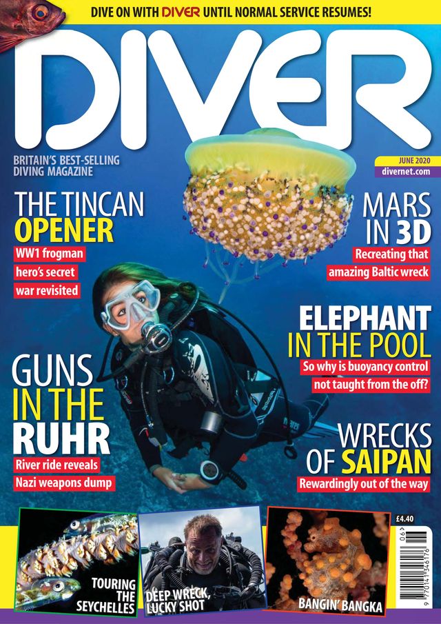 Diver UK