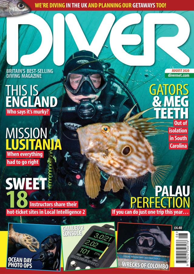 Diver UK