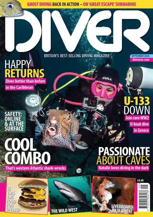 Diver UK