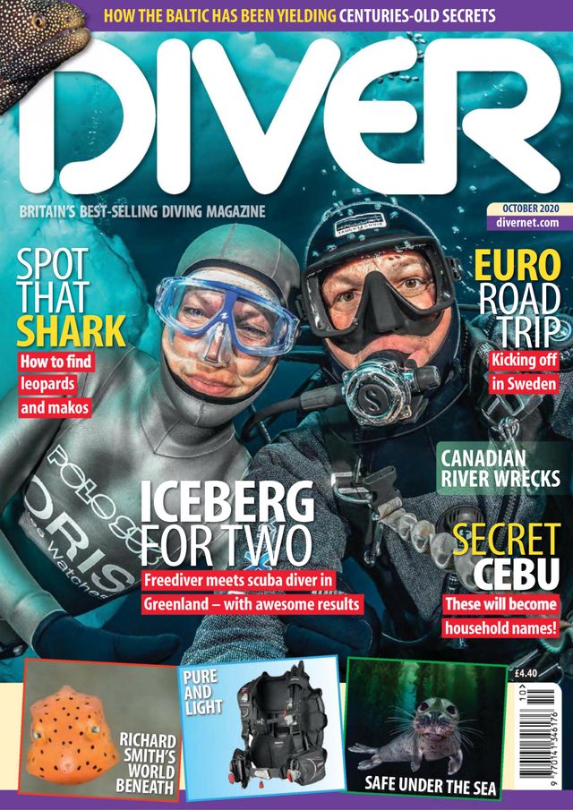 Diver UK