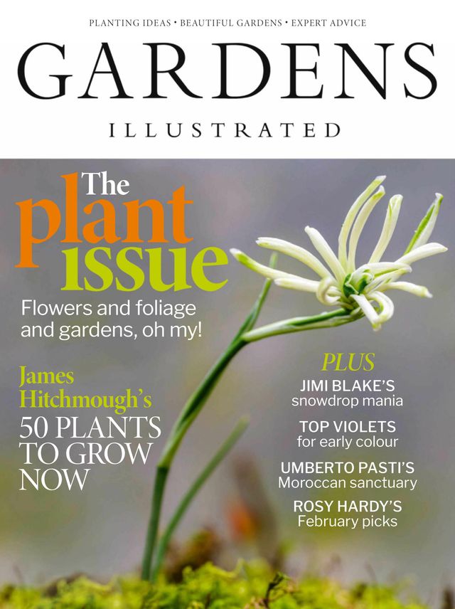Gardens Illustrated