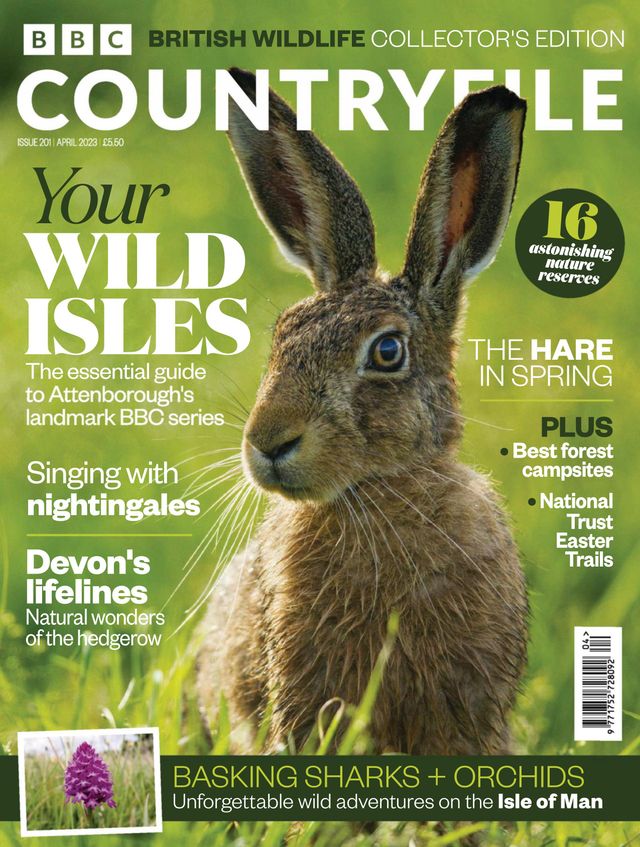 BBC Countryfile Magazine