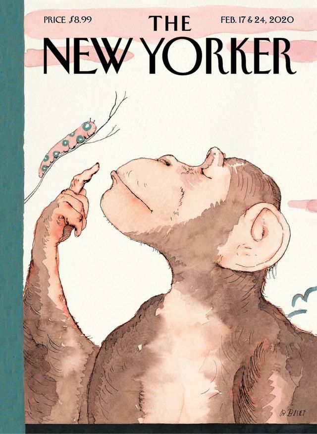 The New Yorker