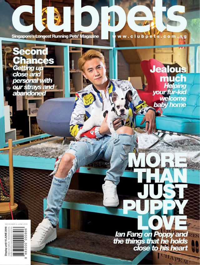 clubpets Magazine