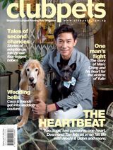 Issue 61
