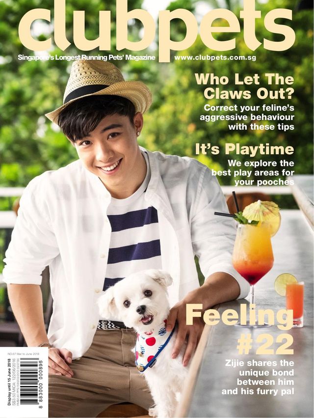 clubpets Magazine