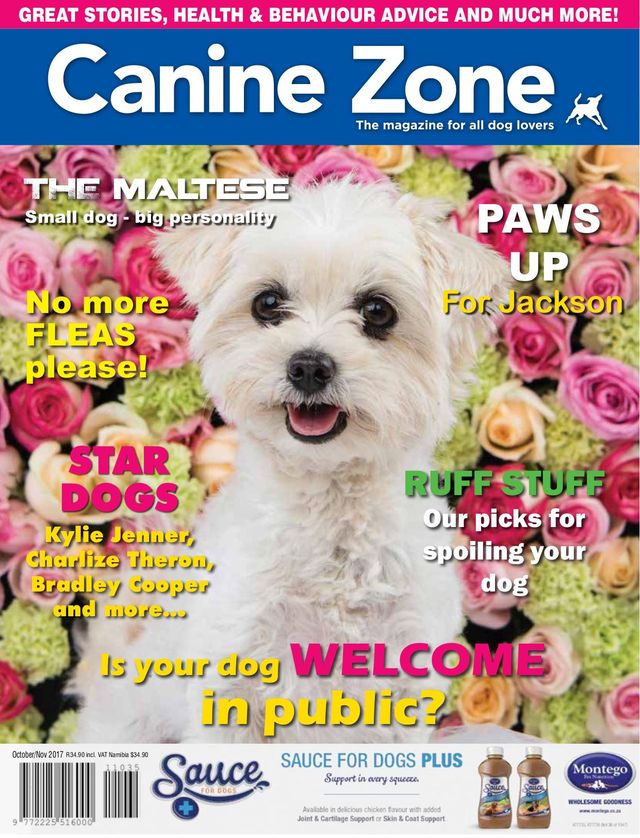 Canine Zone