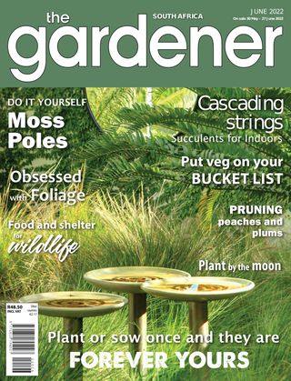 The Gardener