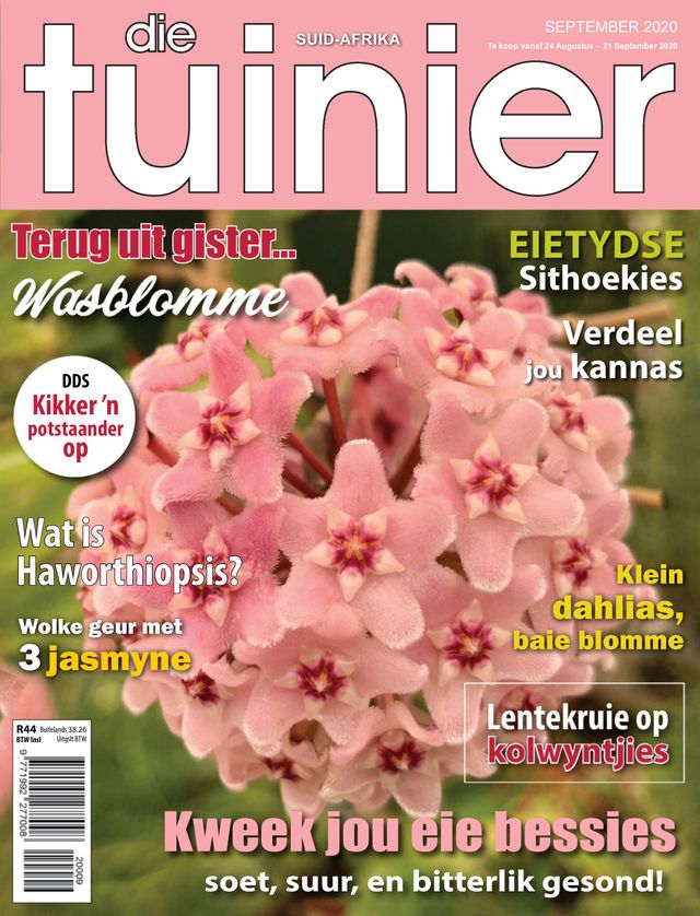 Die Tuinier