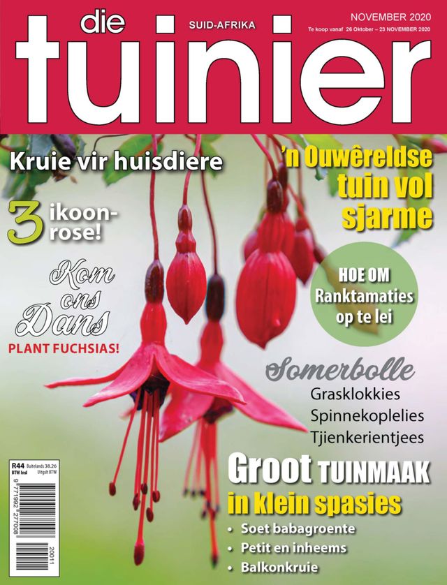 Die Tuinier