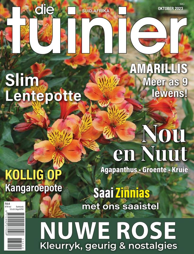 Magzter GOLDで無制限に