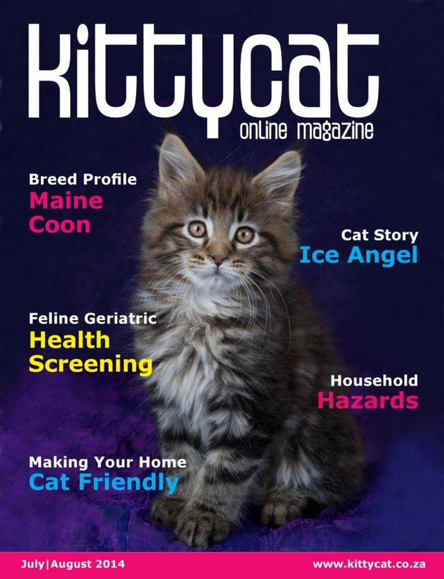 Kittycat