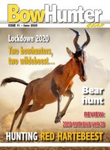 Issue 11