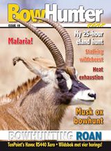 Issue 19