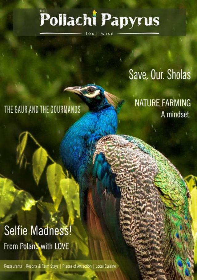 Go Unlimited with Magzter GOLD