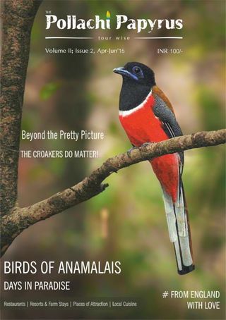 The Pollachi Papyrus - April 2015 The Pollachi Papyrus Cover - April 2015 Edition