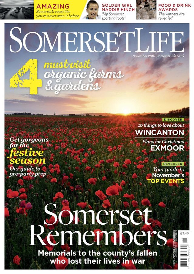 मैगज़्टर गोल्ड के साथ असीमित हो जाओ