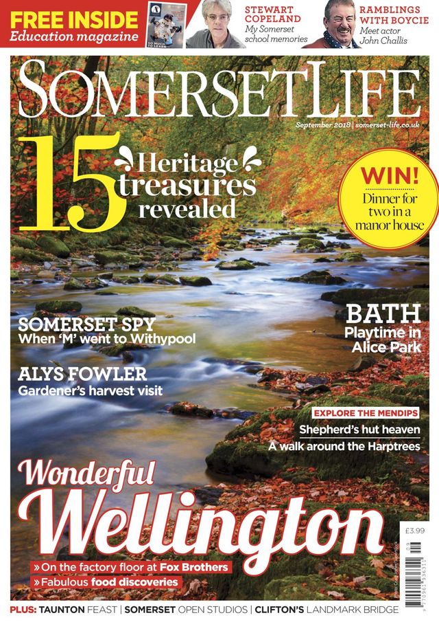 Go Unlimited with Magzter GOLD