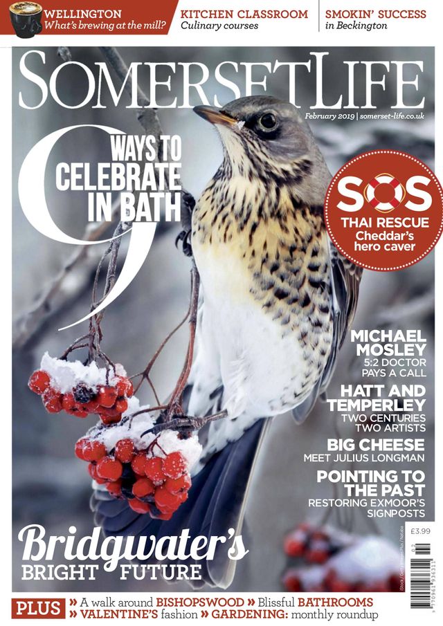 Magzter GOLD ile Sınırsız Olun