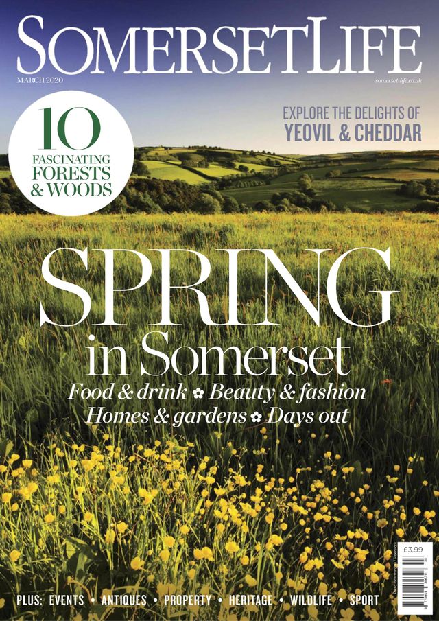 Vuélvete ilimitado con Magzter GOLD