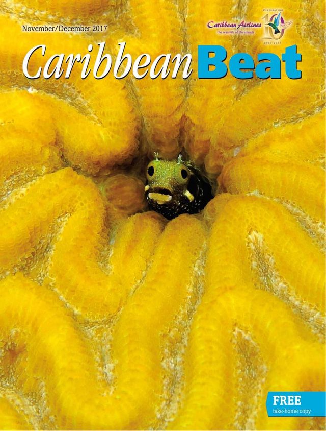 मैगज़्टर गोल्ड के साथ असीमित हो जाओ